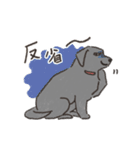 アリアスペットクリニック公式LINEスタンプ（個別スタンプ：7）