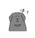 アリアスペットクリニック公式LINEスタンプ（個別スタンプ：10）