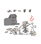 アリアスペットクリニック公式LINEスタンプ（個別スタンプ：16）