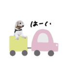 ♡キョウコ様（個別スタンプ：1）