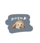 ♡キョウコ様（個別スタンプ：3）