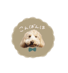 ♡キョウコ様（個別スタンプ：6）
