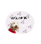 ♡キョウコ様（個別スタンプ：7）