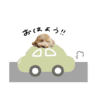 ♡キョウコ様（個別スタンプ：8）