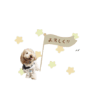 ♡キョウコ様（個別スタンプ：11）