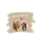 ♡キョウコ様（個別スタンプ：12）