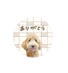 ♡キョウコ様（個別スタンプ：14）