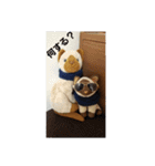 そだろさん大総集編（個別スタンプ：6）