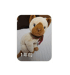 そだろさん大総集編（個別スタンプ：26）