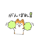 わいの犬じゃないスタンプ（個別スタンプ：23）