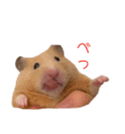 キンクマのもち様vol.3（個別スタンプ：2）