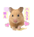 キンクマのもち様vol.3（個別スタンプ：10）