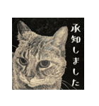 よくしゃべるキジトラ猫 - 山田猫 vol.14（個別スタンプ：21）