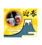 いかがでしょうか〜？？（個別スタンプ：2）