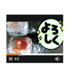 いかがでしょうか〜？？（個別スタンプ：3）