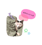 うちらfamily最高❤️（個別スタンプ：15）