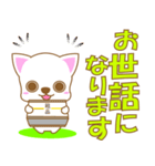 わんこ日和(ちわフレ)-toYvu-（個別スタンプ：29）