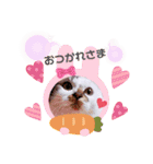 よく使う文字入り♡ペット（個別スタンプ：2）