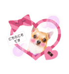 よく使う文字入り♡ペット（個別スタンプ：5）