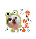 よく使う文字入り♡ペット（個別スタンプ：10）