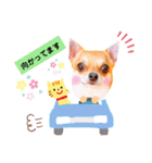 よく使う文字入り♡ペット（個別スタンプ：14）