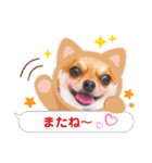 よく使う文字入り♡ペット（個別スタンプ：23）