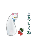 しろねこといちご（個別スタンプ：13）