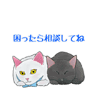 しろねこといちご（個別スタンプ：16）