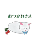 しろねこといちご（個別スタンプ：35）