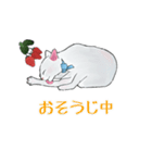 しろねこといちご（個別スタンプ：38）