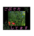 あいさつ 気持ちが伝わる花編（個別スタンプ：6）