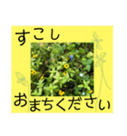 あいさつ 気持ちが伝わる花編（個別スタンプ：21）