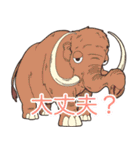 絶滅動物スタンプ（個別スタンプ：39）