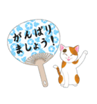 ねこちゃんいっぱいシール風2 夏の日常（個別スタンプ：4）