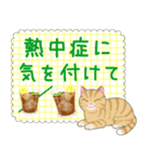 ねこちゃんいっぱいシール風2 夏の日常（個別スタンプ：7）