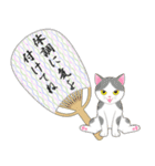 ねこちゃんいっぱいシール風2 夏の日常（個別スタンプ：8）