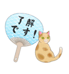 ねこちゃんいっぱいシール風2 夏の日常（個別スタンプ：12）