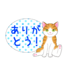 ねこちゃんいっぱいシール風2 夏の日常（個別スタンプ：15）