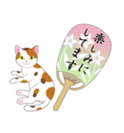 ねこちゃんいっぱいシール風2 夏の日常（個別スタンプ：18）