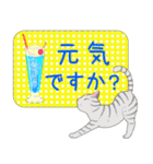 ねこちゃんいっぱいシール風2 夏の日常（個別スタンプ：23）