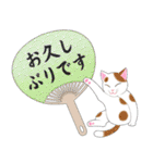 ねこちゃんいっぱいシール風2 夏の日常（個別スタンプ：24）