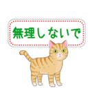 ねこちゃんいっぱいシール風2 夏の日常（個別スタンプ：26）