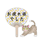 ねこちゃんいっぱいシール風2 夏の日常（個別スタンプ：33）