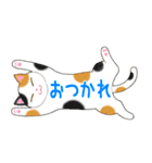 ねこちゃんいっぱいシール風2 夏の日常（個別スタンプ：34）