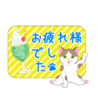 ねこちゃんいっぱいシール風2 夏の日常（個別スタンプ：35）