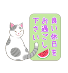 ねこちゃんいっぱいシール風2 夏の日常（個別スタンプ：36）