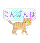 ねこちゃんいっぱいシール風2 夏の日常（個別スタンプ：37）