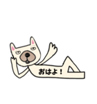 フレンチブルドッグのタンク ゴロゴロ（個別スタンプ：5）