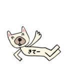 フレンチブルドッグのタンク ゴロゴロ（個別スタンプ：6）