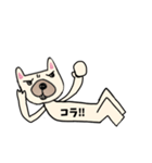 フレンチブルドッグのタンク ゴロゴロ（個別スタンプ：16）